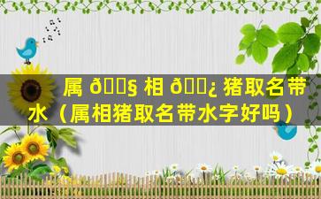 属 🐧 相 🌿 猪取名带水（属相猪取名带水字好吗）